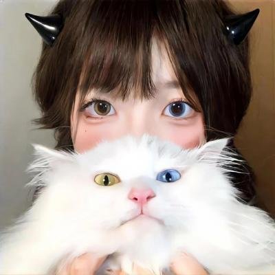 名校风暴第四季